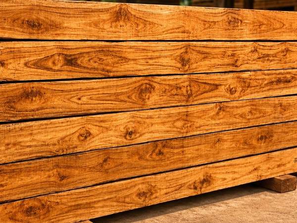 Imported Teak (Mexican Teak) at Guru Kripa Timber & Plywood, Mohali — Punjab's largest timber range