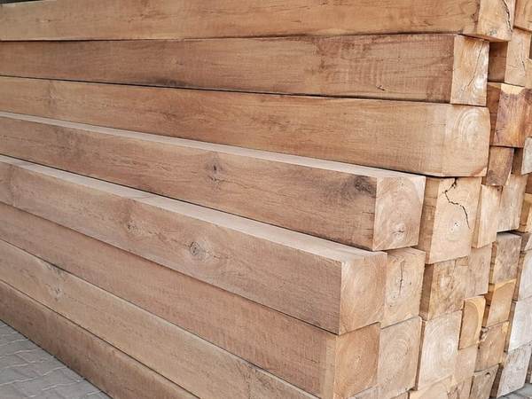Sheesham Wood (Shisham) at Guru Kripa Timber & Plywood, Mohali — Punjab's largest timber range
